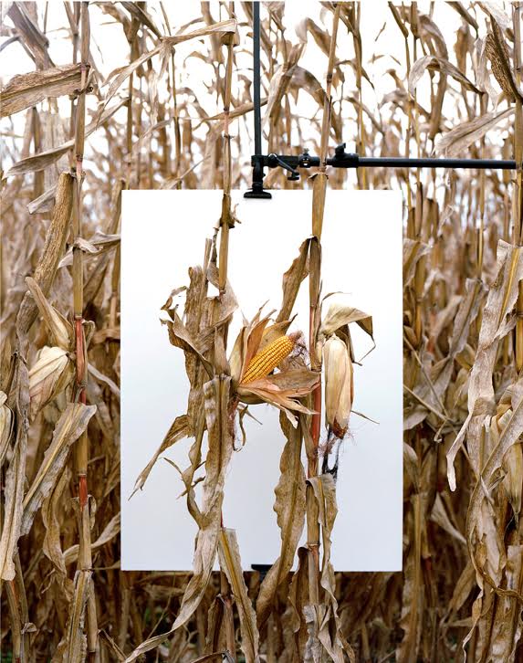 Van Buren, Indiana. Série «Monsanto, une enquête photographique»